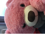 Sir teddy gang !! Ytber