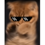 NotBottle GANG