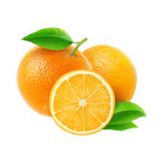 Orangie Group
