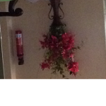 Flower Power (