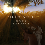 Ziggy & Co. - WCUE SERVICES