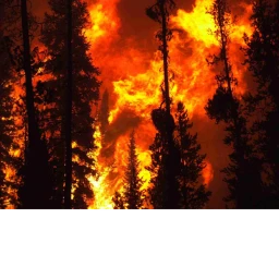 forest fire icon