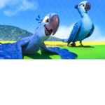 rio fan group