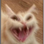 mrsmichu