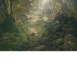 Forest Explorers