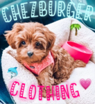 ChezBurger Clothing