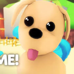 Adopt the Trade!