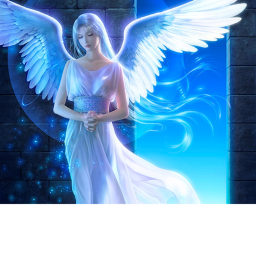 Angel obby
