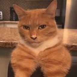 🤫Mewing Fun Elevator