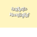 ~aesthetiic moonliight~
