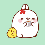 Regular Group :>