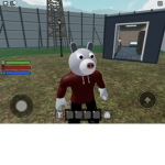 Fox -