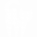 White Cats[Blox Fruits]