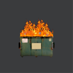 Dumpster Fire Experiences