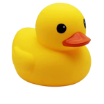 Rubber ducky Squad !!