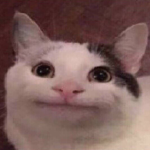 the-meow-the-meow