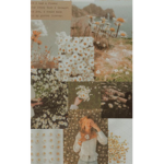 Mÿÿ Fräppüččïñö'š