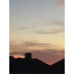 • Y/ N •