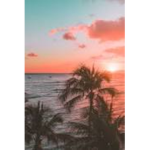 •Sunset skies•