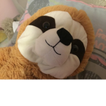 Sloth31452