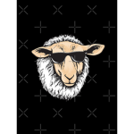 The ultra sheeps