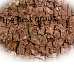 tubers fan group...