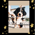 -Adopt me addicts-