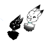 White and black paw community
