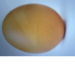 Egg kings group