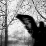 jinxxed