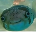 LILYURMOM