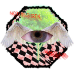 Weirdcore Octagon