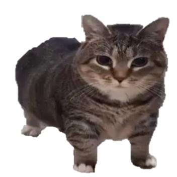 [🔊 VOICE!!!] find tony