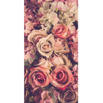 Symphony Pastel