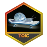 Game Badge Icon