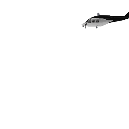 DHS Helicopter