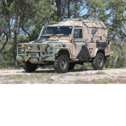 Army Rover Training