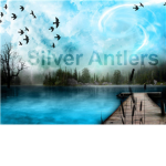 Silver Antlers Co.