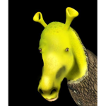 felipes that raid