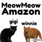 MeowMeow Amazon