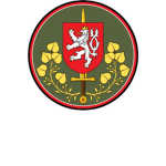 6th Ground Forces Division