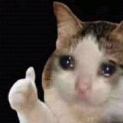 meme face cat!!!! Roblox decal