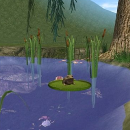 SWAMP (995)