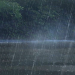 Yǐ xī jié Clan
