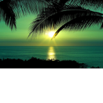 Green Sunset
