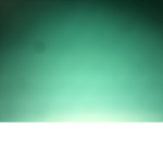 Adoptmegidd