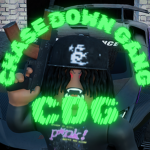 Chase Down Gang /C D G