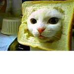 People who need to be cheered up