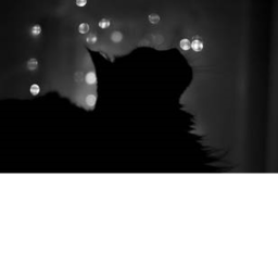 CAAAAAAT (obby)