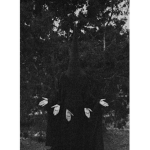 {GBL} Get Back L4T1N Group Thumbnail